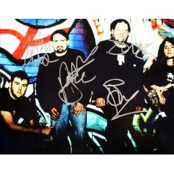 Napalm Death signed photo - Item 6678