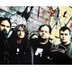 Napalm Death signed photo 10x8