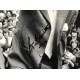 Peter Bonetti & Ron Harris signed 16x12 photo