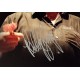 Bobby George signed photo 16x12
