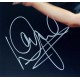 Wayne Mardle signed photo 16x12