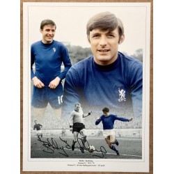 Bobby Tambling signed photo (Chelsea) 16x12