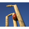 Cricket
