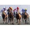 Horse Racing